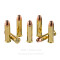Image of 357 Magnum - 165 Grain DGH - Hornady Backcountry Defense - 25 Rounds