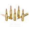Image of Winchester 243 Win Ammo - 20 Rounds of 100 Grain PP Ammunition