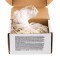 Image of Federal American Eagle 223 Rem Ammo - 1000 Rounds of 55 Grain FMJ Ammunition