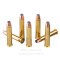 Image of Federal American Eagle Subsonic 45-70 Govt Ammo - 20 Rounds of 300 Grain HP Ammunition