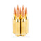 Image of Federal 243 Win Ammo - 20 Rounds of 95 Grain Fusion Ammunition