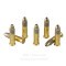 Image of Remington 22 Golden Hunter 22 LR Ammo - 100 Rounds of 40 Grain CPHP Ammunition