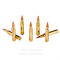 Image of Fiocchi 300 Win Mag Ammo - 20 Rounds of 180 Grain SST Ammunition