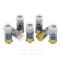 Image of Fiocchi 12 ga Ammo - 10 Rounds of 1 oz. Rifled Slug Ammunition