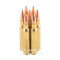 Image of Federal 30-06 Ammo - 20 Rounds of 180 Grain Fusion Ammunition