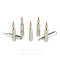 Image of Hornady Critical Defense 223 Ammo - 20 Rounds of 55 Grain FTX Ammunition