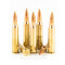 Image of PMC X-TAC Match 223 Ammo - 200 Rounds of 77 Grain OTM Ammunition