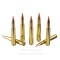Image of Hornady American Whitetail Tipped 30-06 Ammo - 20 Rounds of 165 Grain SST Ammunition