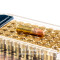 Image of CCI 22 LR Ammo - 5000 Rounds of 40 Grain CPHP Ammunition