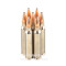 Image of Speer Gold Dot 223 Ammo - 20 Rounds of 62 Grain SP Ammunition