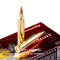 Image of Hornady 204 Ruger Ammo - 20 Rounds of 32 Grain V-MAX Ammunition