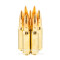 Image of Sellier and Bellot 308 Win Ammo - 500 Rounds of 147 Grain FMJ Ammunition