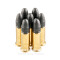 Image of CCI 22 LR Ammo - 50 Rounds of 40 Grain LRN Ammunition