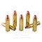 Image of Hornady Handgun Hunter 500 S&W Magnum Ammo - 20 Rounds of 300 Grain MonoFlex Ammunition