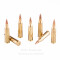 Image of Remington 22-250 Rem Ammo - 40 Rounds of 50 Grain JHP Ammunition