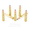 Image of Fiocchi 30-30 Ammo - 20 Rounds of 170 Grain FSP Ammunition