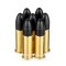 Image of CCI Clean-22 Suppressor 22 LR Ammo - 200 Rounds of 45 Grain Poly-Coated LRN Ammunition