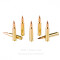 Image of PMC 223 Ammo - 1000 Rounds of 55 Grain FMJ Ammunition