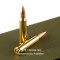 Image of PMC 223 Ammo - 840 Rounds of 55 Grain FMJ-BT Ammunition