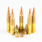 Image of Black Hills Ammunition 223 Ammo - 50 Rounds of 50 Grain V-Max Ammunition