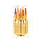 Image of Black Hills Gold 6mm Creedmoor Ammo - 20 Rounds of 108 Grain ELD Match Ammunition