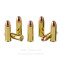 Image of Hornady Backcountry Defense 44 Magnum Ammo - 20 Rounds of 240 Grain DGH Ammunition