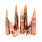 Image of Wolf Military Classic 7.62x54r Ammo - 20 Rounds of 148 Grain FMJ Ammunition