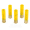 Image of Remington 20 Gauge Ammo - 5 Rounds of 260 Grain Sabot Slug Ammunition