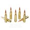 Image of Hornady American Whitetail Tipped 243 Win Ammo - 20 Rounds of 95 Grain SST Ammunition