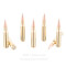 Image of Federal 308 Win Ammo - 20 Rounds of 150 Grain Fusion Ammunition