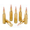 Image of Black Hills Gold 243 Win Ammo - 20 Rounds of 95 Grain Polymer Tipped Ammunition