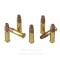 Image of Winchester TALO 22 LR Ammo - 222 Rounds of 36 Grain CPHP Ammunition