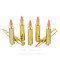 Image of Fiocchi 204 Ruger Ammo - 50 Rounds of 40 Grain V-MAX Ammunition