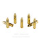 Image of Remington 22 LR Ammo - 100 Rounds of 40 Grain PRN Ammunition