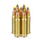 Image of CCI 17 HMR Ammo - 50 Rounds of 17 Grain VNT Ammunition