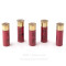 Image of Federal 12 ga Ammo - 5 Rounds of 1 oz. Rifled Slug Ammunition