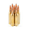 Image of Federal 243 Win Ammo - 20 Rounds of 90 Grain SP Ammunition
