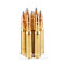 Image of Sellier and Bellot 8x57 JRS (8mm Rimmed Mauser) Ammo - 20 Rounds of 196 Grain SPCE Ammunition