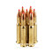 Image of Hornady 30-30 Ammo - 200 Rounds of 160 Grain FTX Ammunition