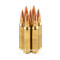 Image of Federal 223 Rem Ammo - 20 Rounds of 69 Grain HPBT Ammunition