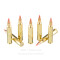 Image of Fiocchi 204 Ruger Ammo - 50 Rounds of 32 Grain V-MAX Ammunition