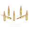 Image of Fiocchi 223 Rem Ammo - 50 Rounds of 55 Grain V-MAX Ammunition