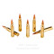 Image of Fiocchi 300 Win Mag Ammo - 20 Rounds of 180 Grain SST Ammunition