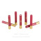 Image For 20 Rounds Of #4 Buck 410 Federal Ammunition