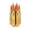 Image of Federal 223 Rem Ammo - 200 Rounds of 69 Grain HPBT Ammunition