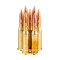 Image of Prvi Partizan 7.62x54r Ammo - 20 Rounds of 182 Grain FMJ-BT Ammunition