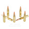 Image of Fiocchi 223 Rem Ammo - 20 Rounds of 69 Grain HPBT Ammunition