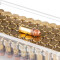 Image of CCI 22 Short Ammo - 100 Rounds of 27 Grain CPHP Ammunition