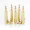 Image of Winchester 204 Ruger Ammo - 20 Rounds of 32 Grain Polymer Tip Ammunition
