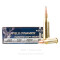 Image of Fiocchi 243 Win Ammo - 20 Rounds of 100 Grain PSP Ammunition